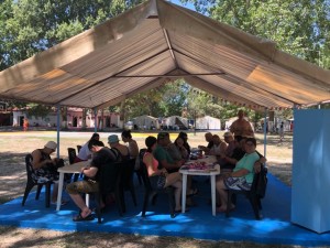 ΚΚΠΚΜ.ΛΕΠΤΟΚΑΜΡΥΑ.ΚΑΤΑΣΚΗΝΩΣΗ.ΝΗΡΙΗΔΕΣ.4.7 (2)